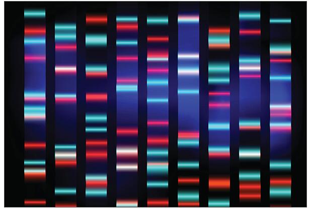 110个癌症相关基因！最新测序技术解析“DNA成环”