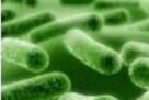 Nature：四分之一常用药会影响肠道菌群，哪怕它们不是抗生素