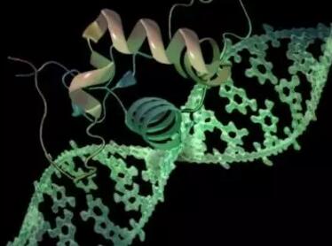 Nature Biotechnology最新公布410个基因组
