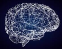 颠覆认知！Nature首度揭示大脑传递信息的真正逻辑