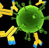 Science特刊：一文读懂经典癌症免疫疗法