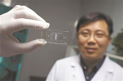 中国学者研发可变色“心脏芯片”