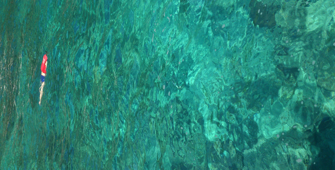 会神秘潜伏的水痘病毒