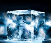 《Nature》刊发人体器官保存30年来首个重磅突破：体温机械灌注技术将器官废弃率降低50%！