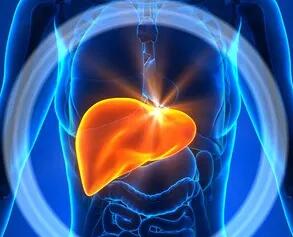 近期肝脏疾病领域研究进展汇总