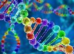 台研究团队发现致癌主导基因