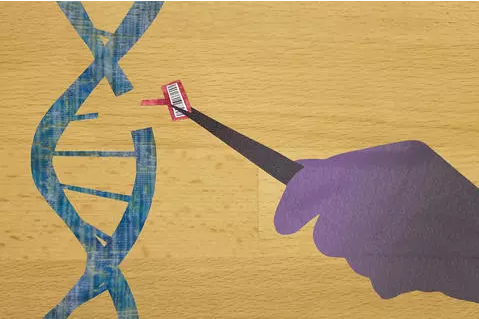 细胞存活率提高7倍！更精准的CRISPR诞生了