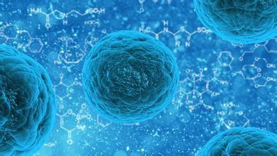 十家机构12个干细胞临床研究项目完成国家卫健委备案