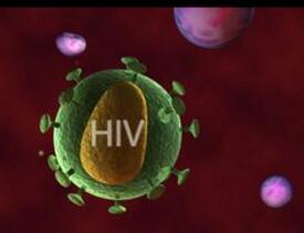 啪啪啪为何让“艾”发生？人类首次视频记录 HIV 感染免疫细胞全过程，眼见为实！