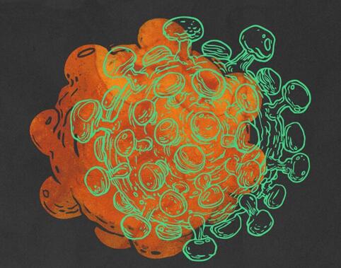 我们和病毒到底有多少“血缘关系”？科学家发现细胞似乎在以病毒的语言交流