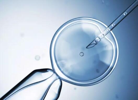 微医最新1.17亿港元投资落定，辅助生殖会是它的盈利点吗？