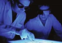 一个“生物黑客”的突然死亡，DIY医学将何去何从？