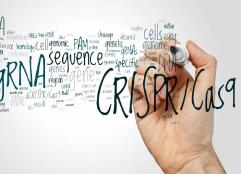 大牛《Nature》子刊发表最新CRISPR技术突破：一次分析数百个基因组突变