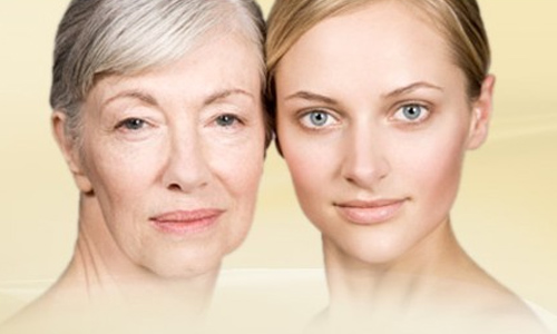 研究：人从39岁开始衰老，或与大脑停止生产髓鞘有关