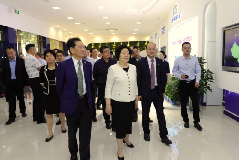 国务院副总理孙春兰调研乌镇互联网医院，听取“平顶山模式”