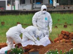 突发！罕见病毒致印度至少13人死亡，官员称或引发全球感染