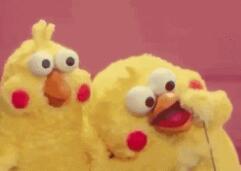 科学家搞出人鸡杂交胚胎：有重大发现却被网友喷了