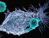 今日Nature重磅：这个意外突变，有望颠覆CAR-T治疗！