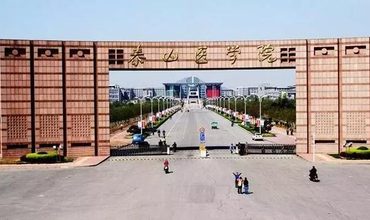“齐鲁医学”之争落幕，山东第一医科大学来了