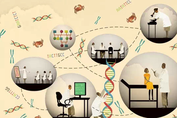 布局已经成型，大数据会让我们更健康吗？