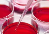 科学家发明新型器官培育技， 或可解决器官短缺问题