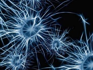 赶超“重编程”？PNAS揭示：从T细胞到神经元的“一步式”过程