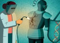 Nature发文，股价大跌！p53究竟如何影响CRISPR的未来？