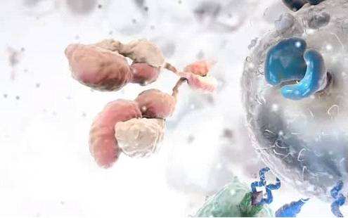 不确定性待消除，细胞治疗须审慎前行