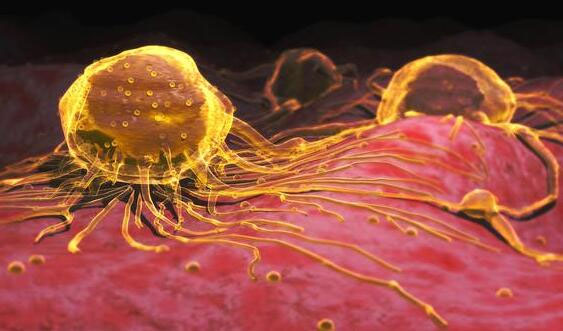 日本团队在体外实验中利用光照杀死癌细胞