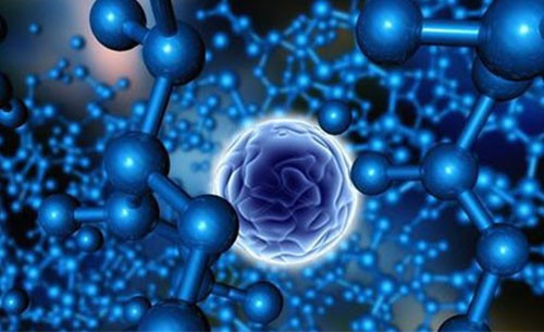 血细胞可以转化成神经细胞