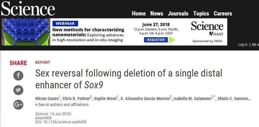 有Y染色体又如何？科学家发现反转性别的关键基因