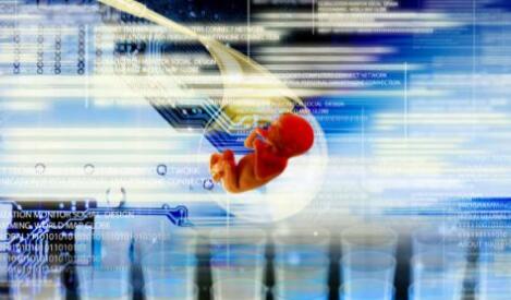 医疗产业新视野：美国试管婴儿成功率未必比中国高