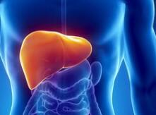 盘点最新肝癌新药研发管线有哪些？