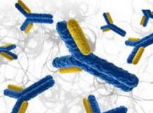 2亿美元合作！CD47双特异性抗体将进入临床