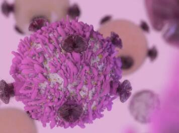 科学家重大发现！一个抗体同时拯救瘫痪的NK和T细胞，扩大免疫治疗适用人群