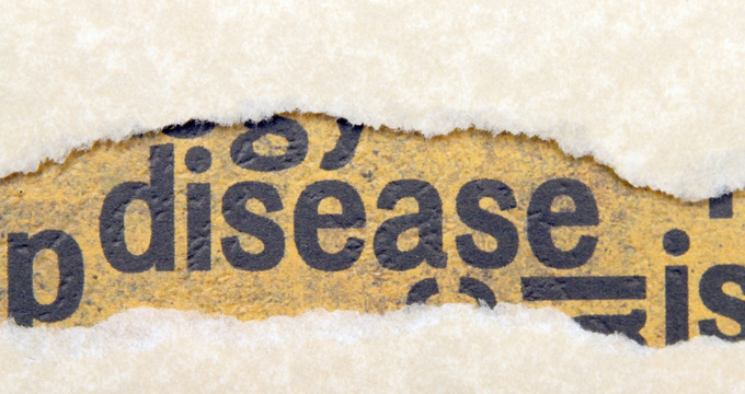 最新全球疾病负担报告及对我国的启示