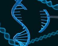 突破！抑制这11个基因靶点，可阻止活细胞中99.5%的癌转移