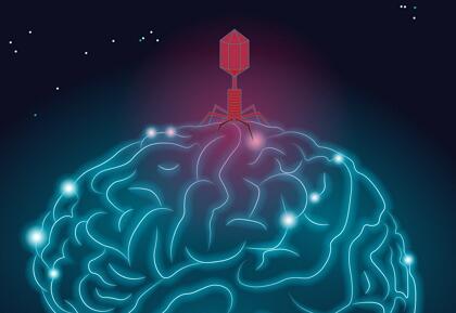 病毒引发阿尔兹海默症？一场新的致病机理争论