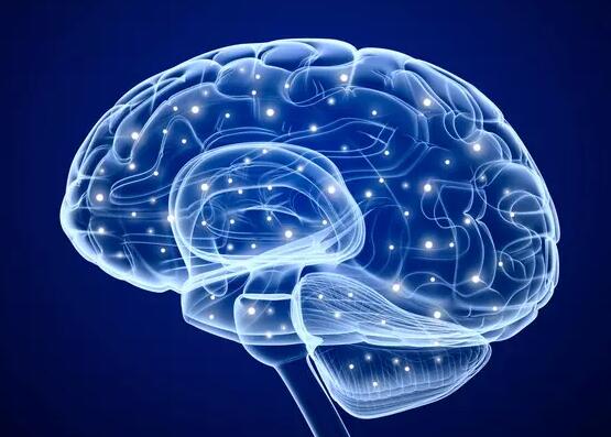 科学家首次合成致命的传染性人脑朊病毒