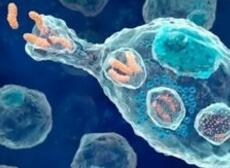 艾伯维与Calibr大合作，开发实体瘤CAR-T疗法