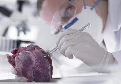 英国“心脏补丁”技术为心力衰竭患者带来福音