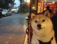 BMJ子刊：又骗我结婚！200万人大数据分析显示，未婚者心脑血管疾病发病和死亡风险会上升40-50%