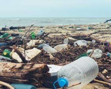 生物技术能拯救地球吗？盘点致力于该领域的5家生物技术公司