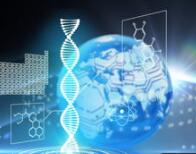 全球CAR-T细胞疗法临床试验情况梳理