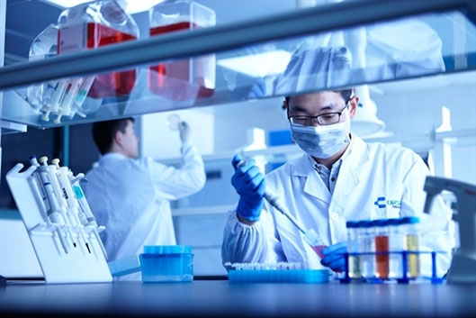 史上最大规模癌症T细胞研究结果公布