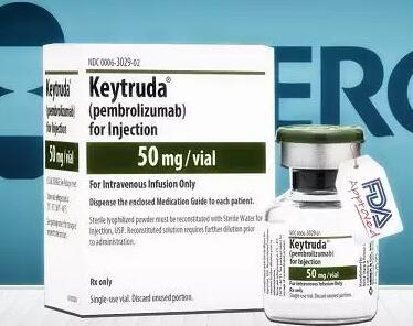 Keytruda关键申请再获FDA优先审评，肺癌市场优势牢不可破？