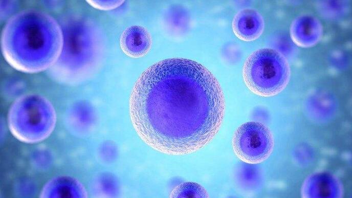 我科学家用远红外光操控干细胞分化