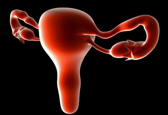 人造卵巢支架让未成熟卵细胞正常发育