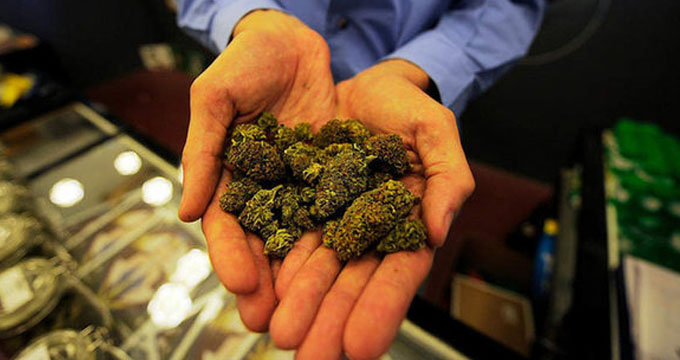 重磅发现：大麻对减轻慢性疼痛并无明显作用