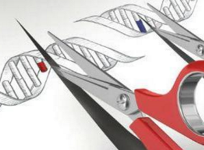 提高基因编辑安全性，CRISPR系统迎来安全阀